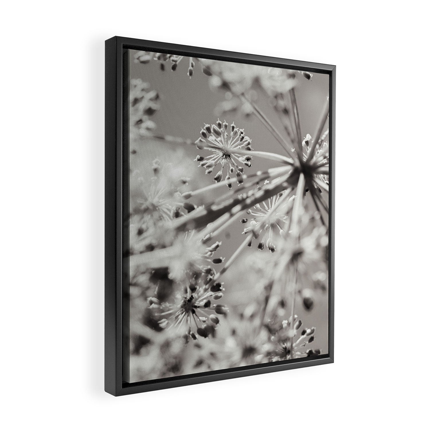 botanical abstract photograph no. 4 Framed Canvas Print Gallery Image 2
