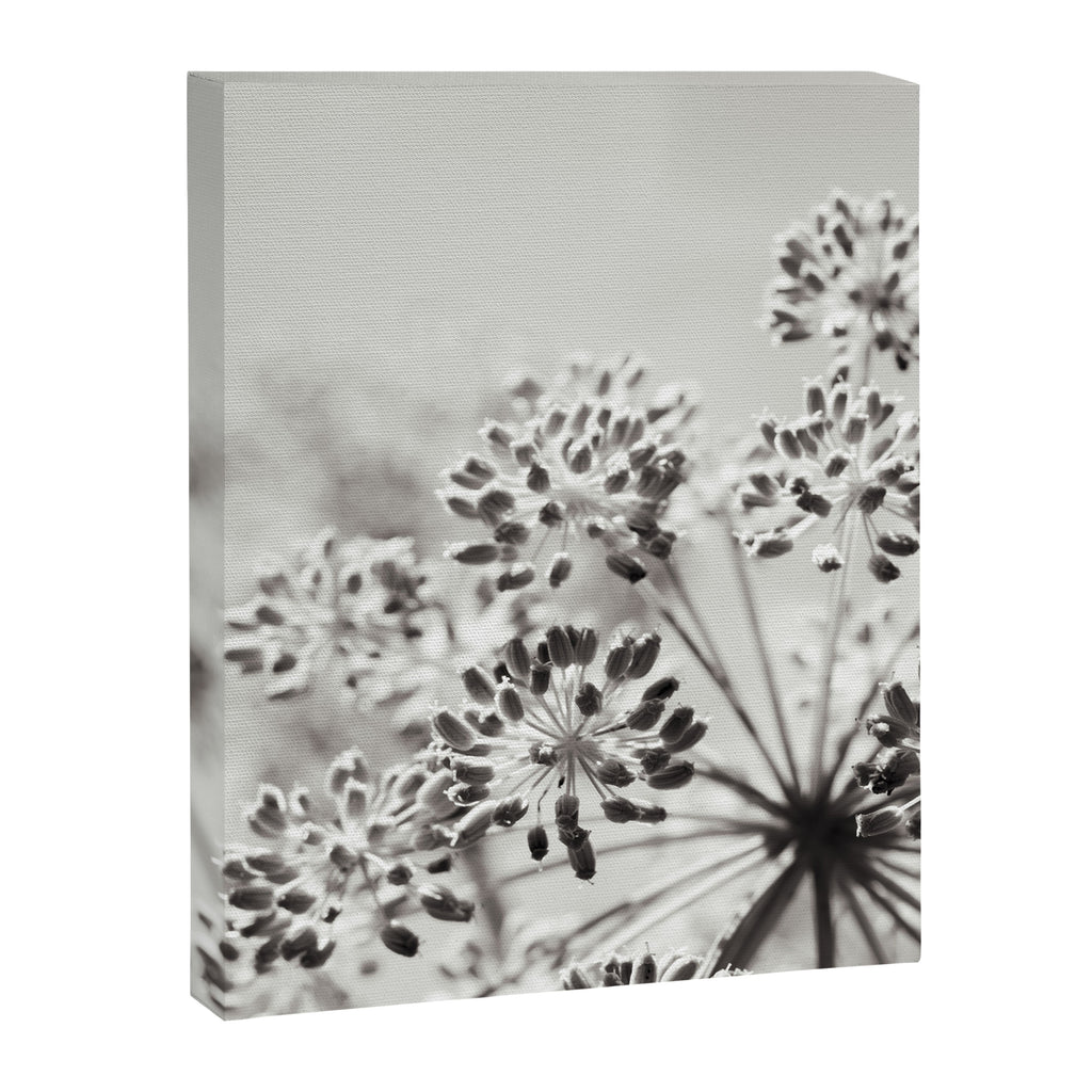 botanical abstract photograph no. 6 - black and white photography modern floral Canvas Print Gallery Image 6