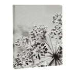 botanical abstract photograph no. 6 - black and white photography modern floral Canvas Print Gallery Image 6