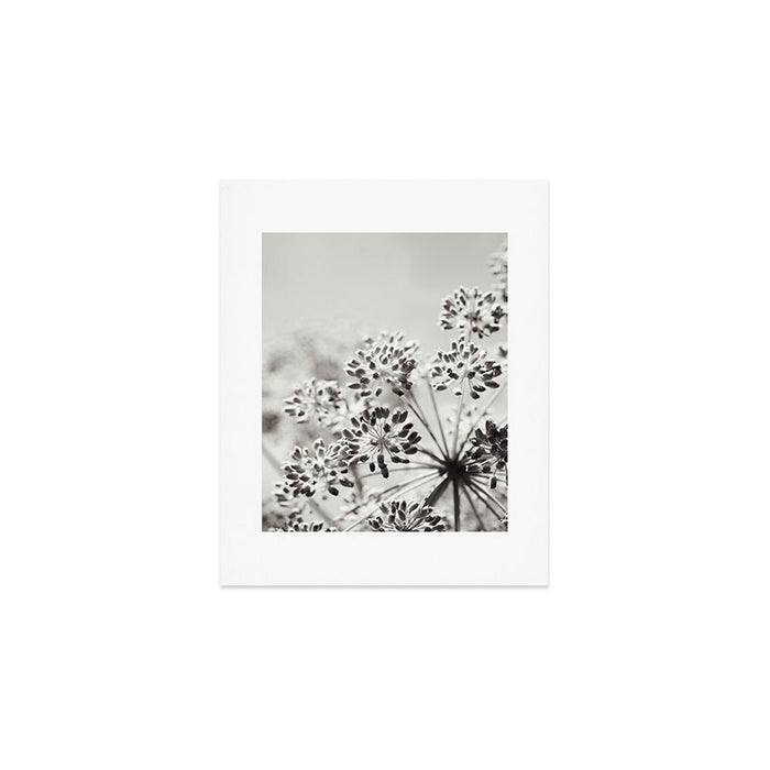 botanical abstract photograph no. 6 - black and white photography modern floral Art Print Gallery Image 1
