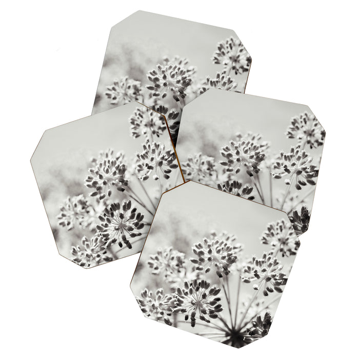 botanical abstract photograph no. 6 - black and white photography modern floral Coaster Gallery Image 1