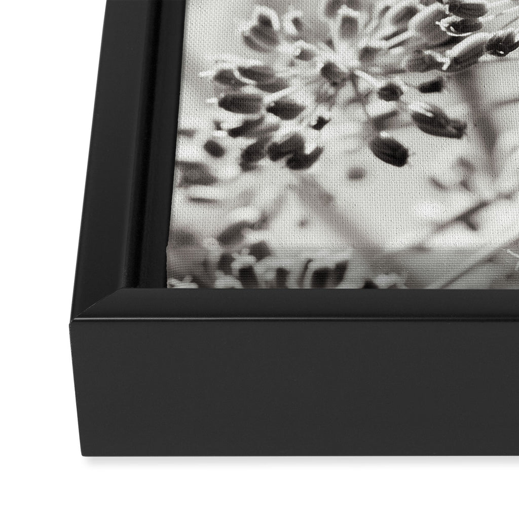 botanical abstract photograph no. 6 - black and white photography modern floral Framed Canvas Print Gallery Image 3