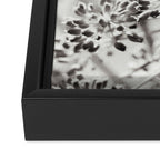 botanical abstract photograph no. 6 - black and white photography modern floral Framed Canvas Print Gallery Image 3