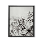 botanical abstract photograph no. 6 - black and white photography modern floral Framed Canvas Print Gallery Image 6