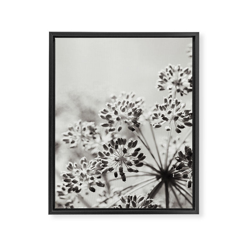 botanical abstract photograph no. 6 - black and white photography modern floral Framed Canvas Print Gallery Image 6