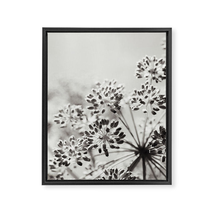 botanical abstract photograph no. 6 - black and white photography modern floral Framed Canvas Print Gallery Image 1