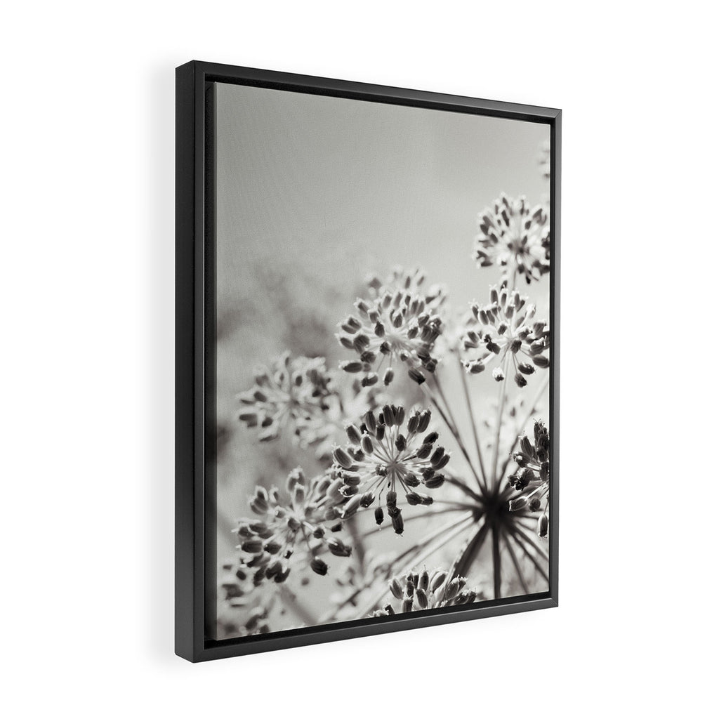 botanical abstract photograph no. 6 - black and white photography modern floral Framed Canvas Print Gallery Image 2