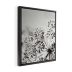 botanical abstract photograph no. 6 - black and white photography modern floral Framed Canvas Print Gallery Image 2