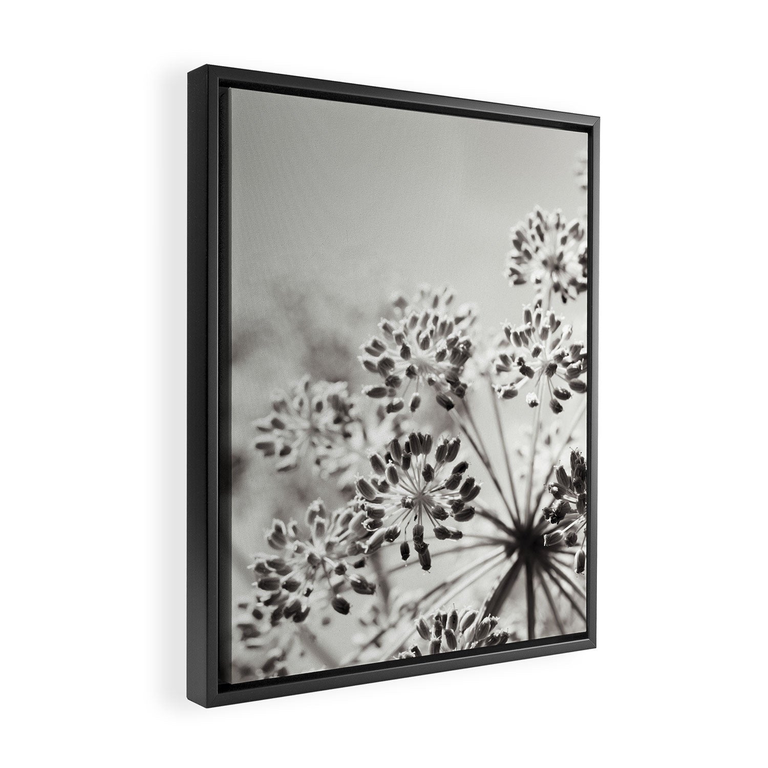 botanical abstract photograph no. 6 - black and white photography modern floral Framed Canvas Print Gallery Image 2