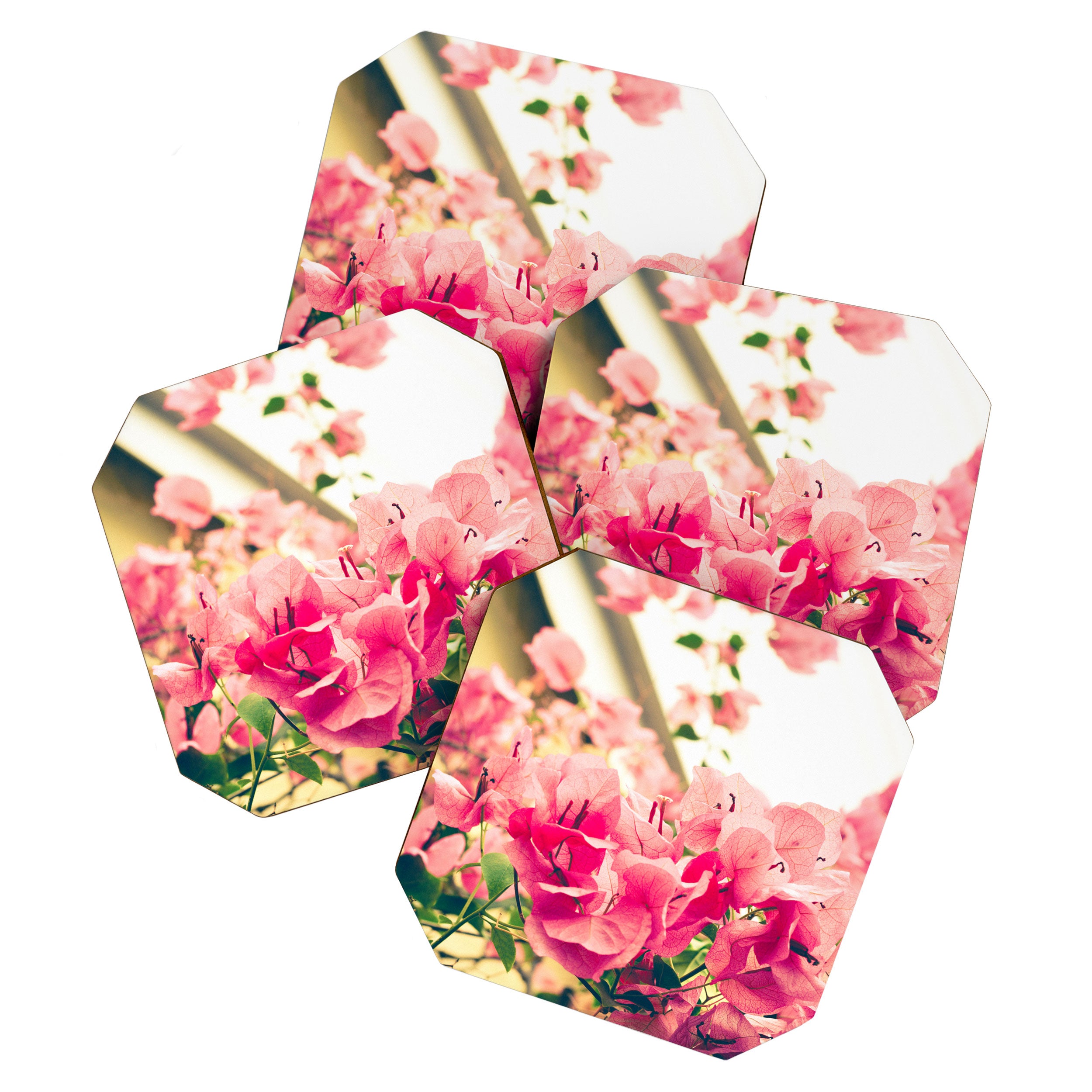 Bougainvillea 1 Coaster Gallery Image 1