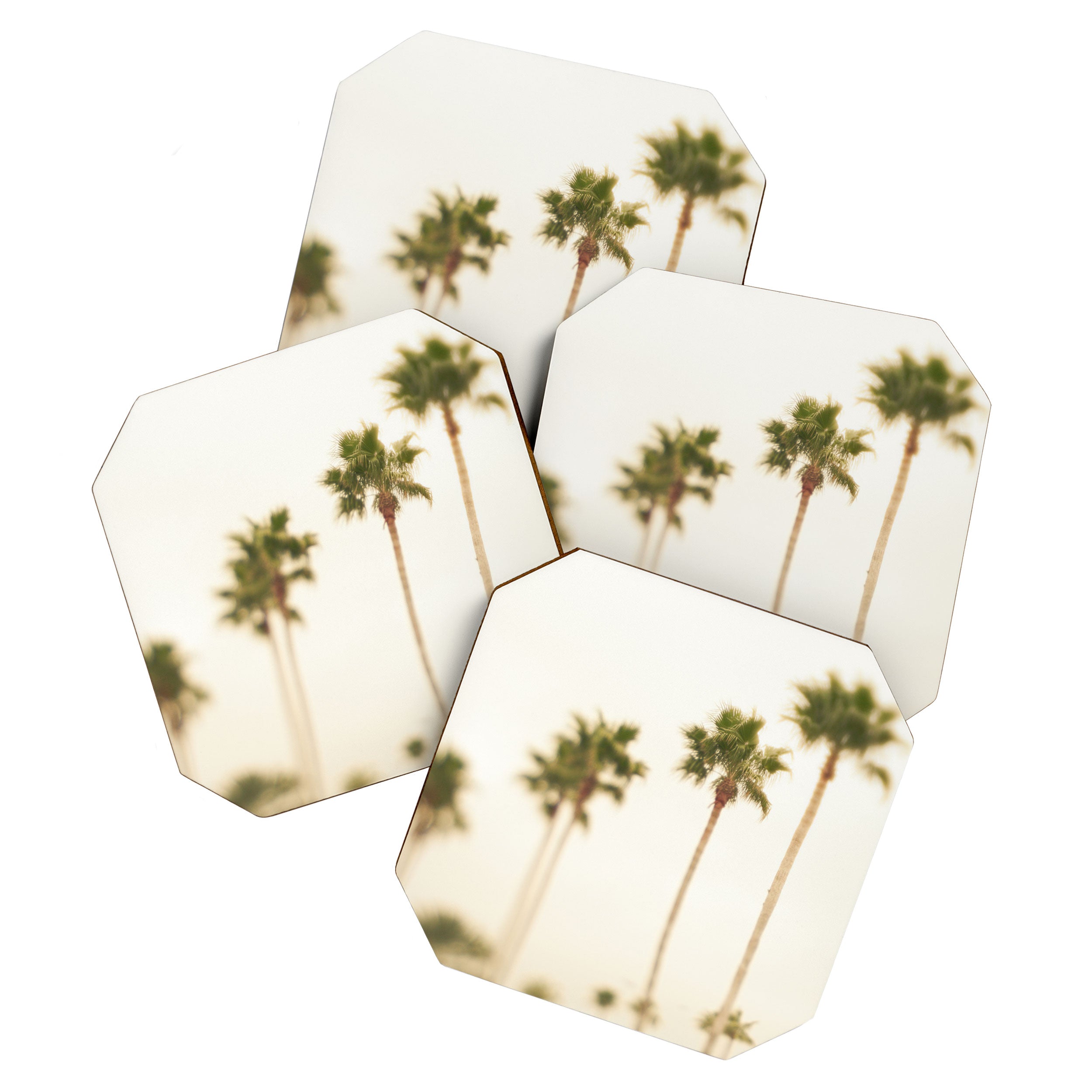 Boulevard Palm Trees Coaster Gallery Image 1