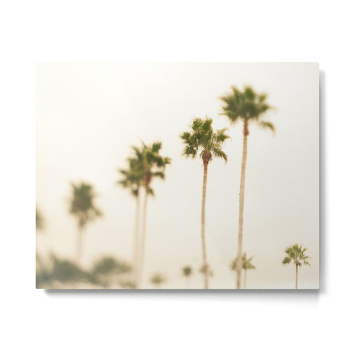 Boulevard Palm Trees Metal Print Gallery Image 1
