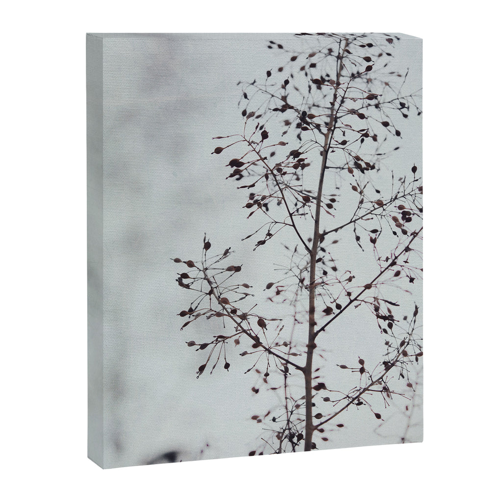 Breezy - fresh botanical floral photograph Canvas Print Gallery Image 8