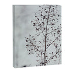 Breezy - fresh botanical floral photograph Canvas Print Gallery Image 8