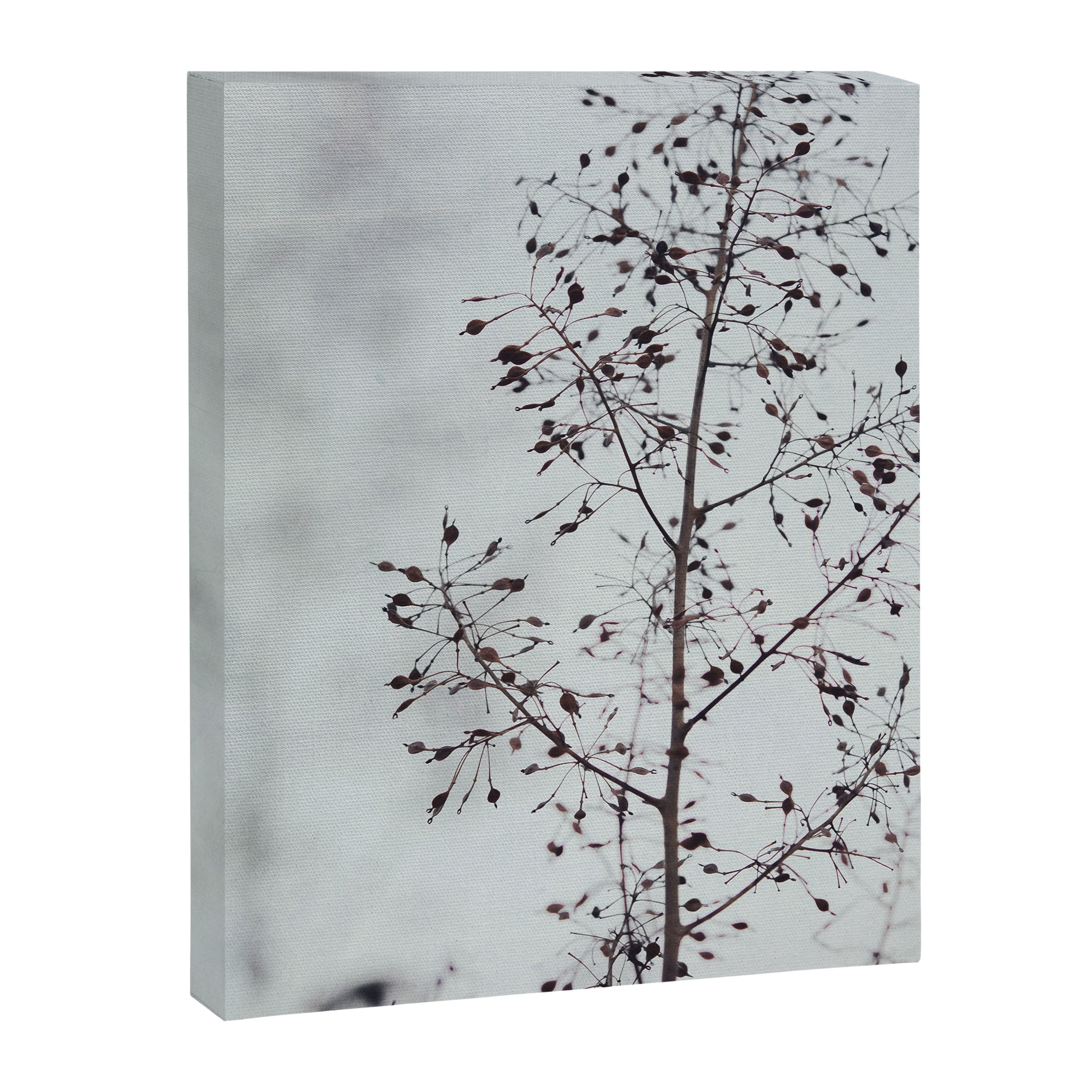 Breezy - fresh botanical floral photograph Canvas Print Gallery Image 8