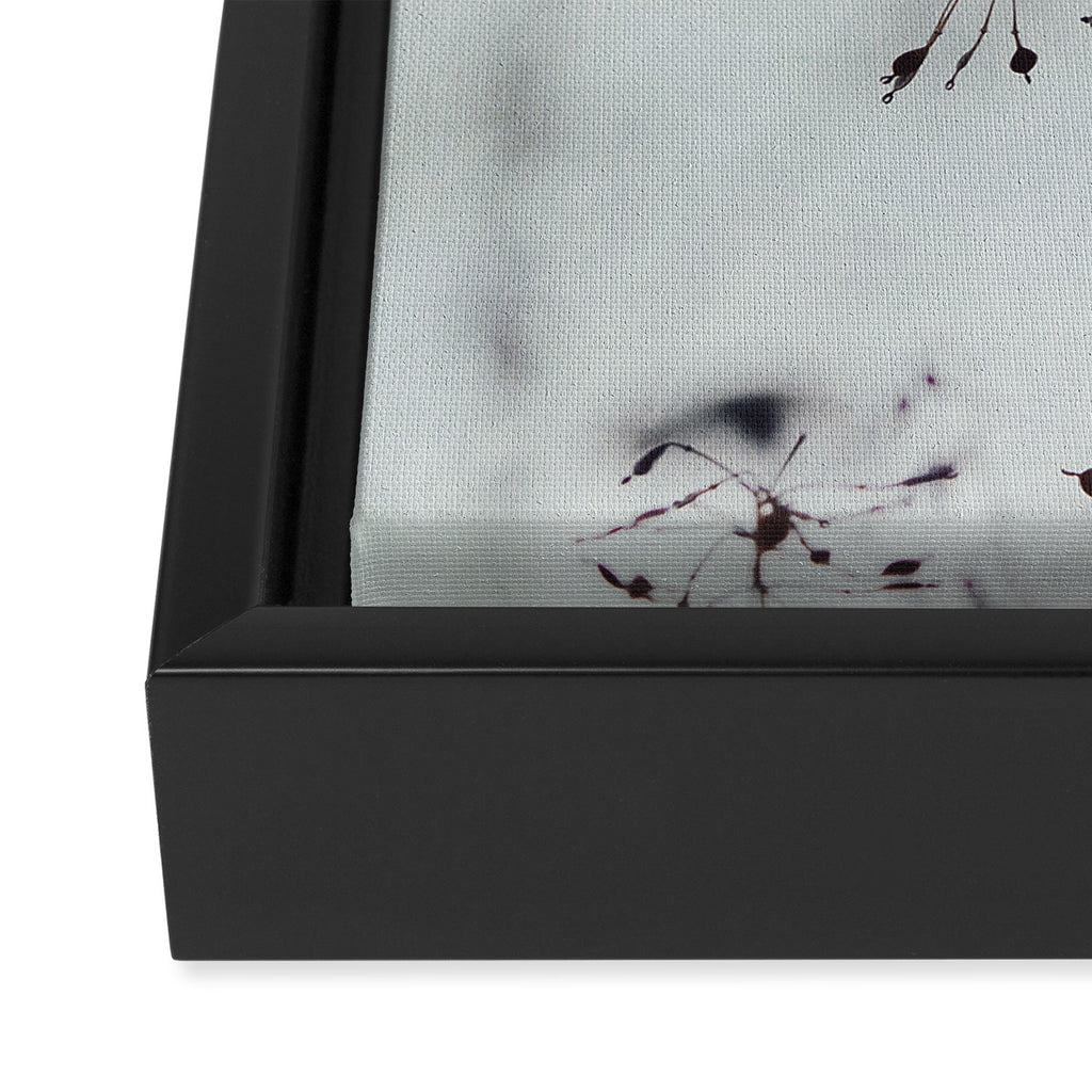 Breezy - fresh botanical floral photograph Framed Canvas Print Gallery Image 3
