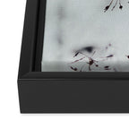 Breezy - fresh botanical floral photograph Framed Canvas Print Gallery Image 3