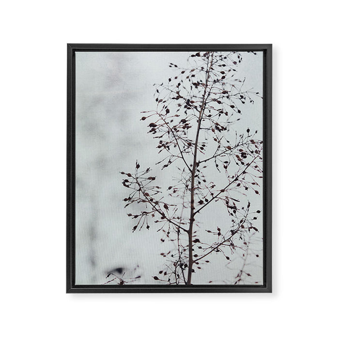 Breezy - fresh botanical floral photograph Framed Canvas Print Gallery Image 1