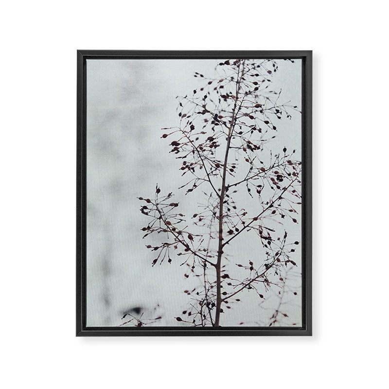 Breezy - fresh botanical floral photograph Framed Canvas Print Gallery Image 8