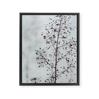 Breezy - fresh botanical floral photograph Framed Canvas Print Gallery Image 8