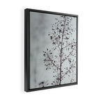 Breezy - fresh botanical floral photograph Framed Canvas Print Gallery Image 2