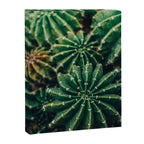 Cactus Study 2 Canvas Print Gallery Image 6