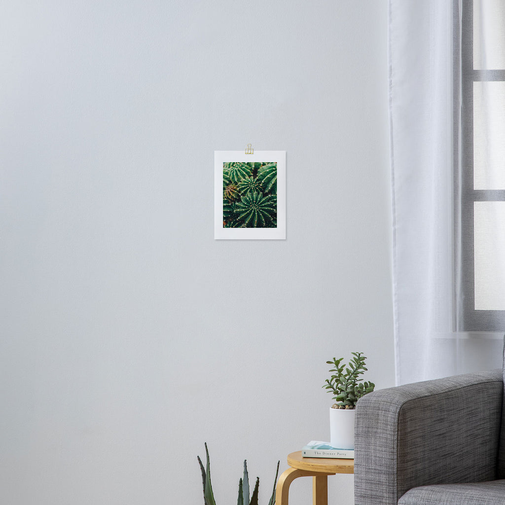 Cactus Study 2 Art Print Gallery Image 3