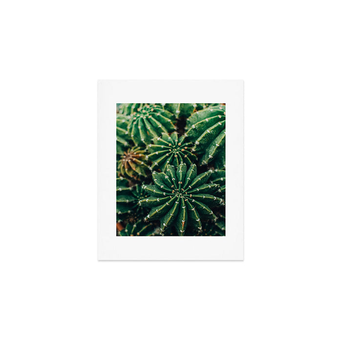 Cactus Study 2 Art Print Gallery Image 1
