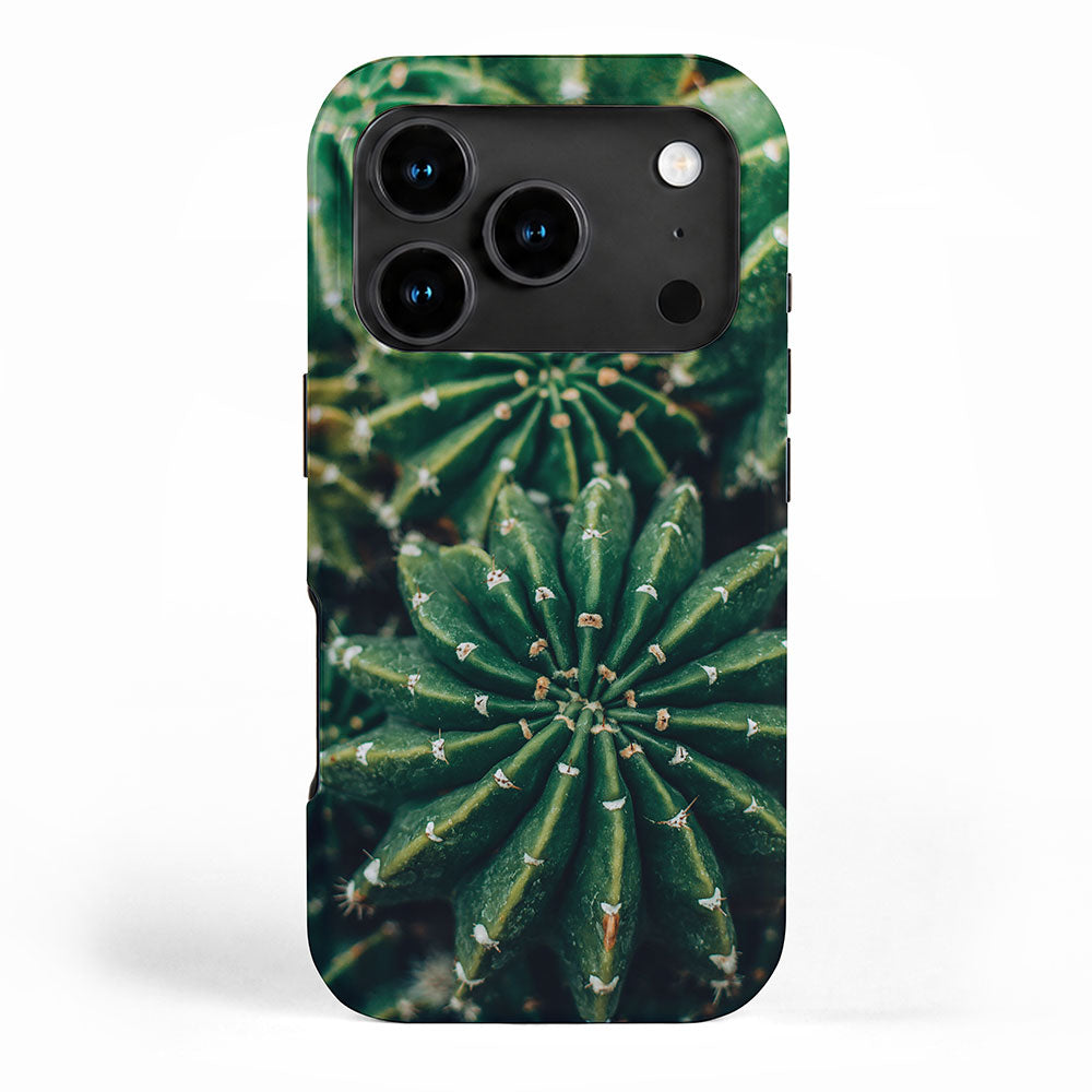 Cactus Study 2 iPhone Case Gallery Image 1