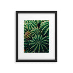 Cactus Study 2 Framed Art Print Gallery Image 5