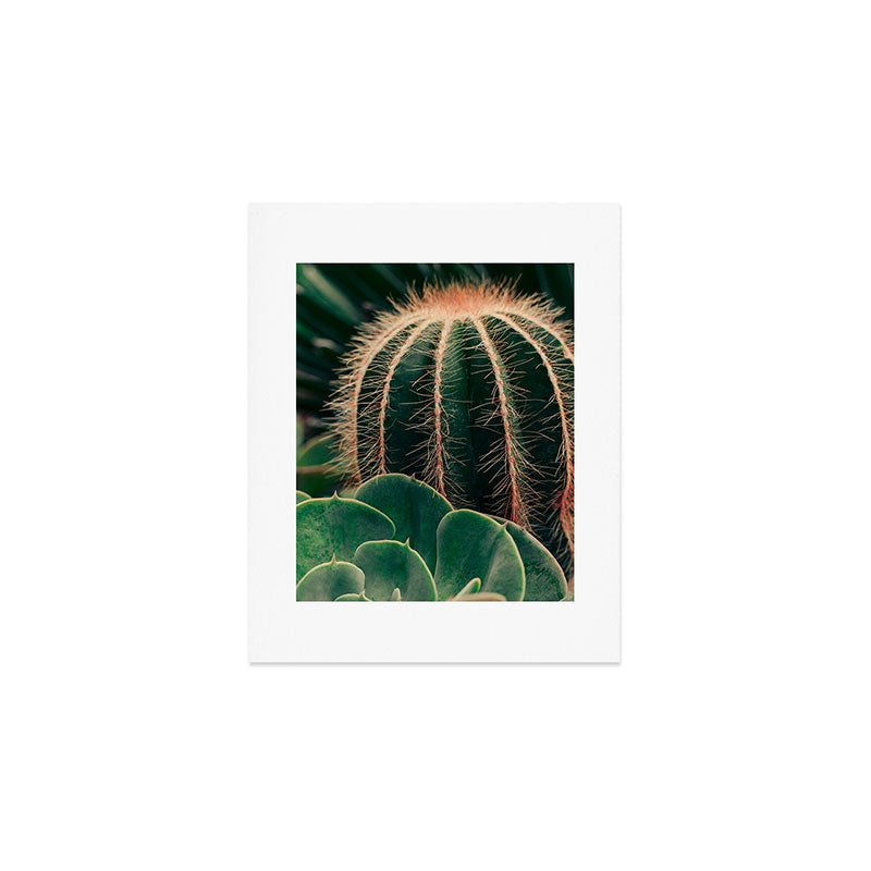 Cactus Study Art Print Gallery Image 1