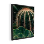 Cactus Study Framed Canvas Print Gallery Image 2