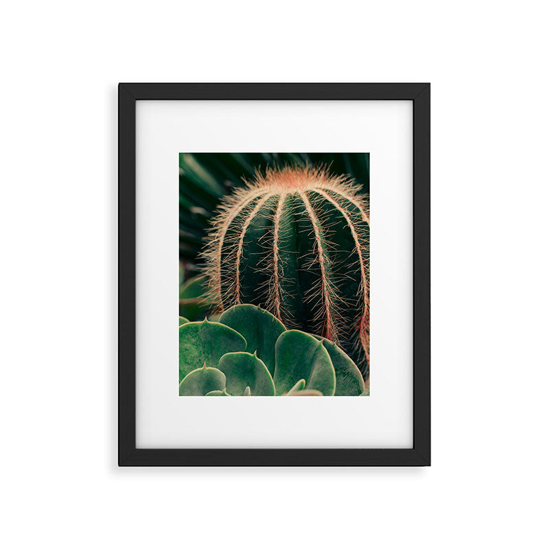 Cactus Study Framed Art Print Gallery Image 5