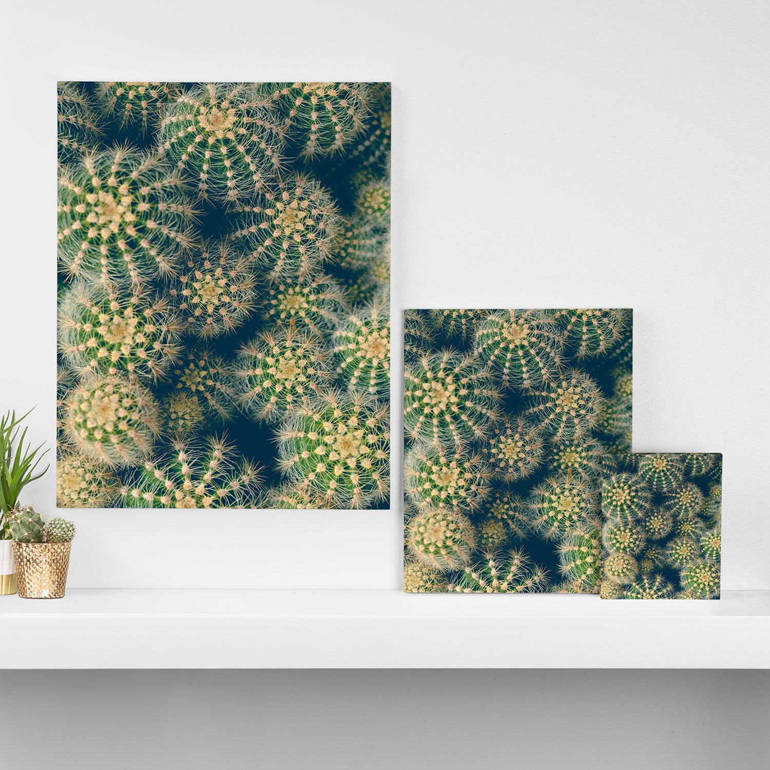 Cactus Canvas Print Gallery Image 3