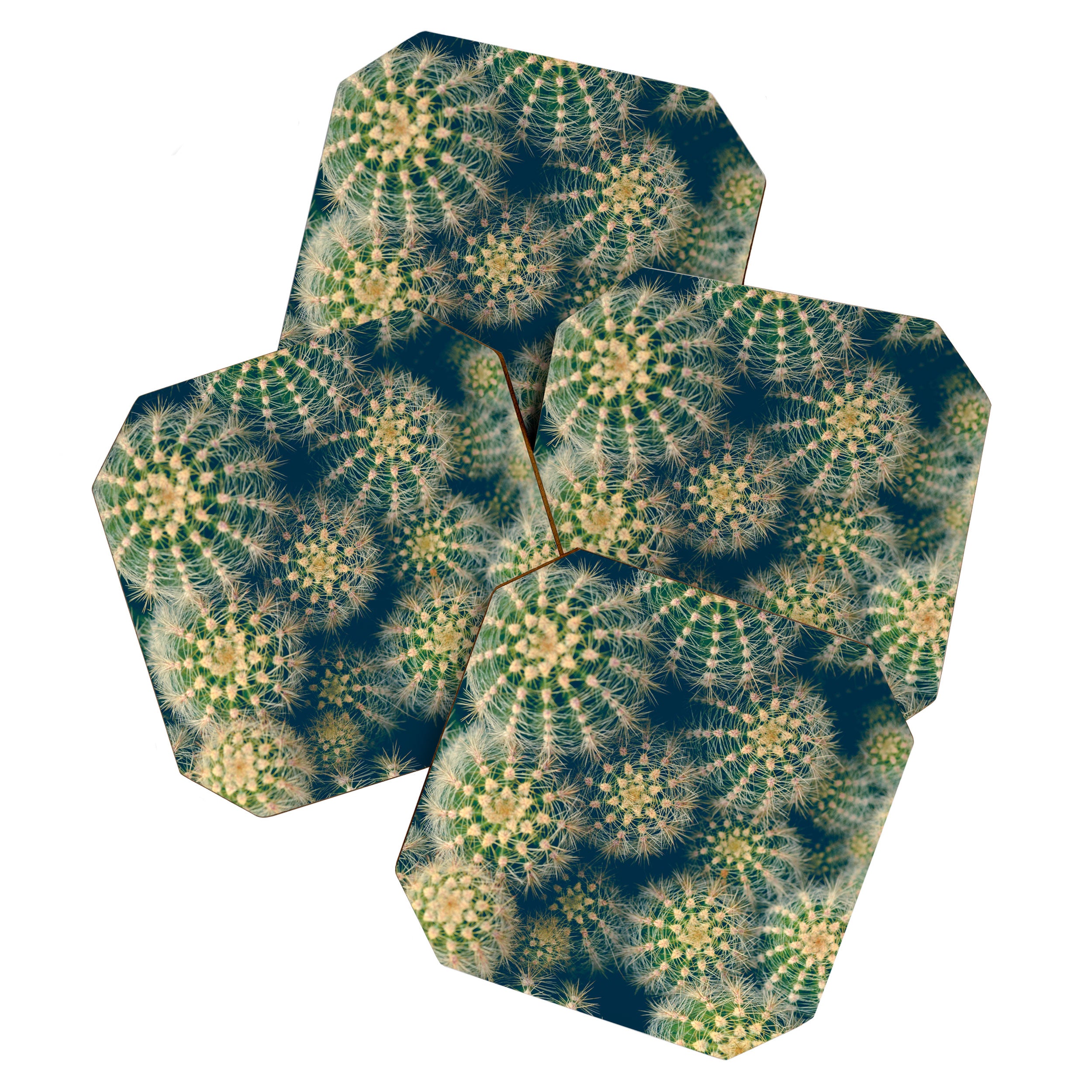 Cactus Coaster Gallery Image 1