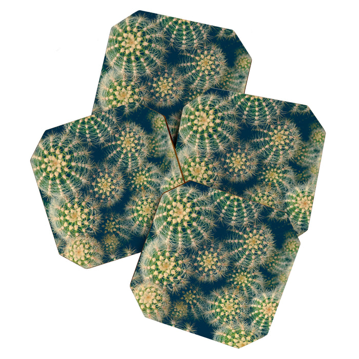 Cactus Coaster Gallery Image 1