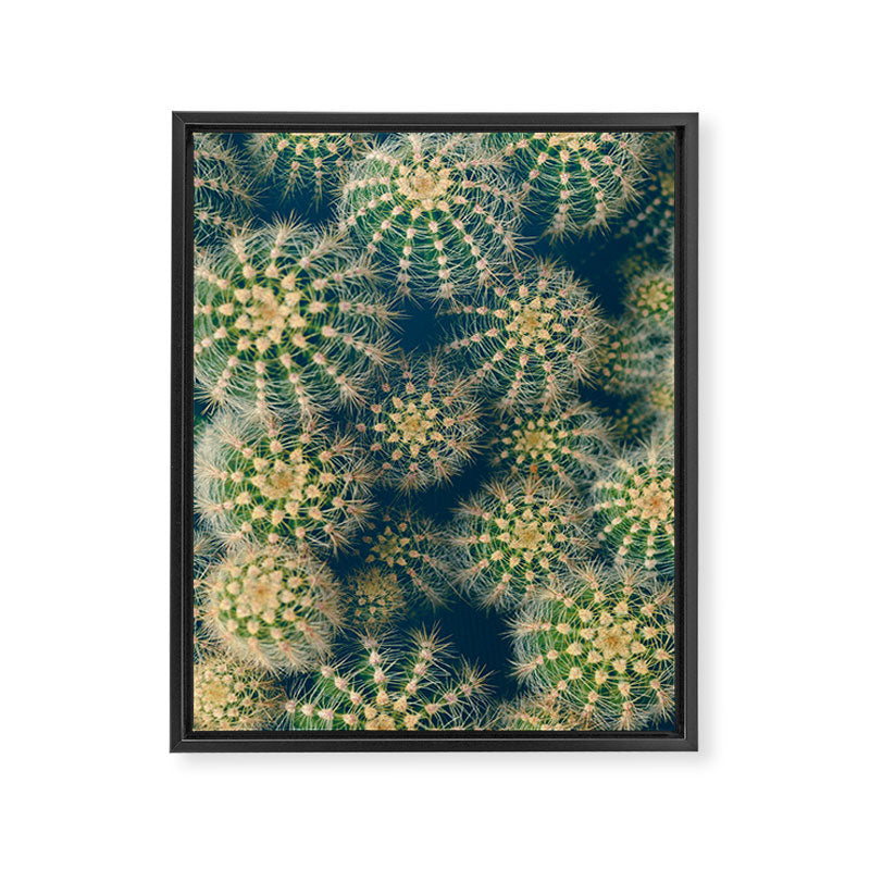 Cactus Framed Canvas Print Gallery Image 3