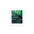 Calathea Leaves botanical houseplant leaf photography plant photo Art Print Gallery Image 1