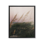 California Dreaming - boho beach nature photograph Framed Canvas Print Gallery Image 6