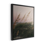 California Dreaming - boho beach nature photograph Framed Canvas Print Gallery Image 2