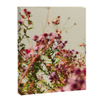 Carefree Canvas Print Gallery Image 6