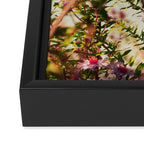 Carefree Framed Canvas Print Gallery Image 3