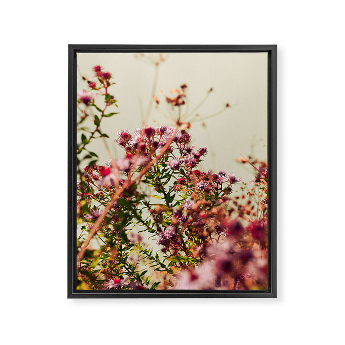 Carefree Framed Canvas Print Gallery Image 1