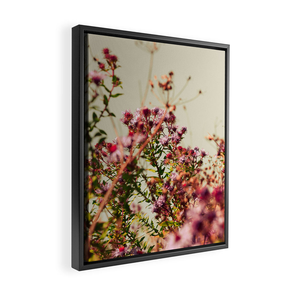 Carefree Framed Canvas Print Gallery Image 2