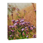 Casual Affair aster - wildflower nature photograph Canvas Print Gallery Image 6