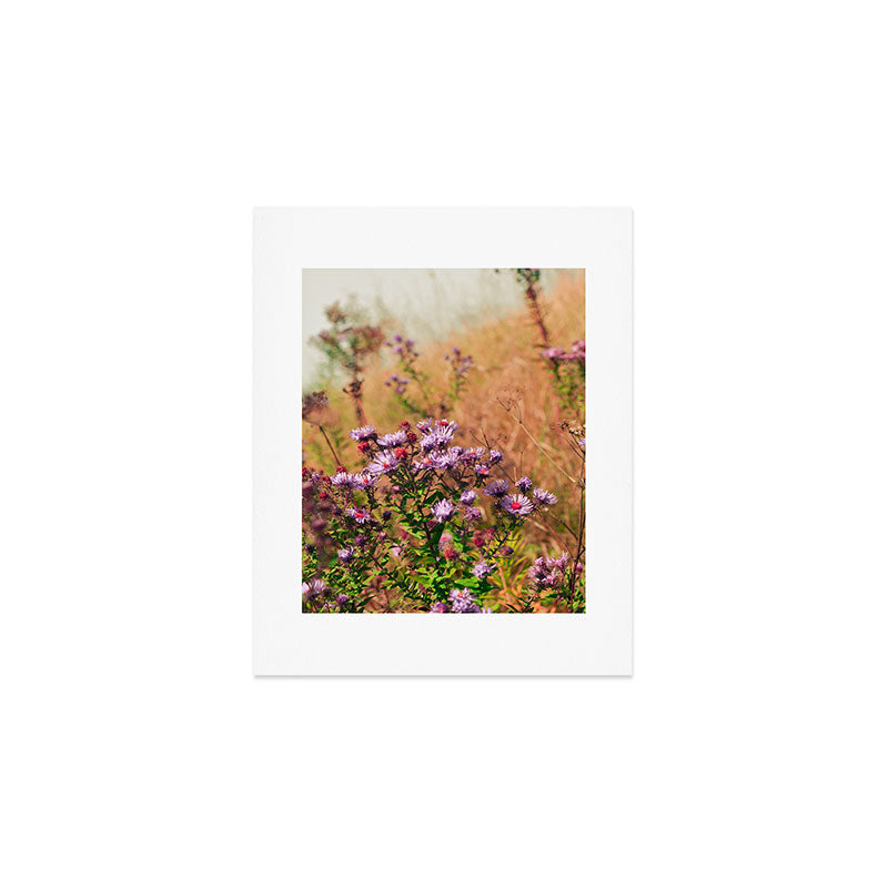 Casual Affair aster - wildflower nature photograph Art Print Gallery Image 1