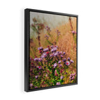 Casual Affair aster - wildflower nature photograph Framed Canvas Print Gallery Image 2