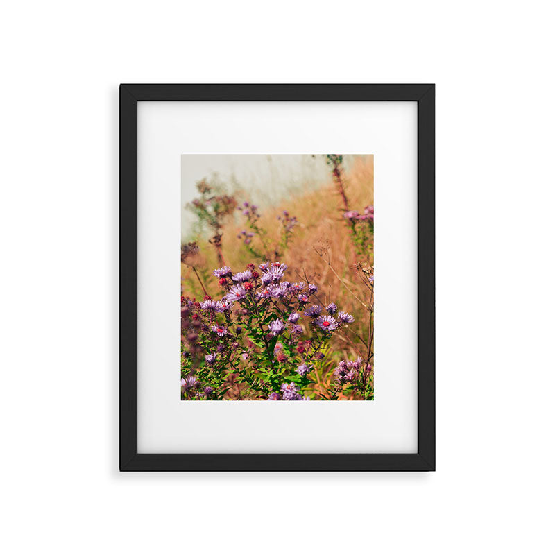 Casual Affair aster - wildflower nature photograph Framed Art Print Gallery Image 5