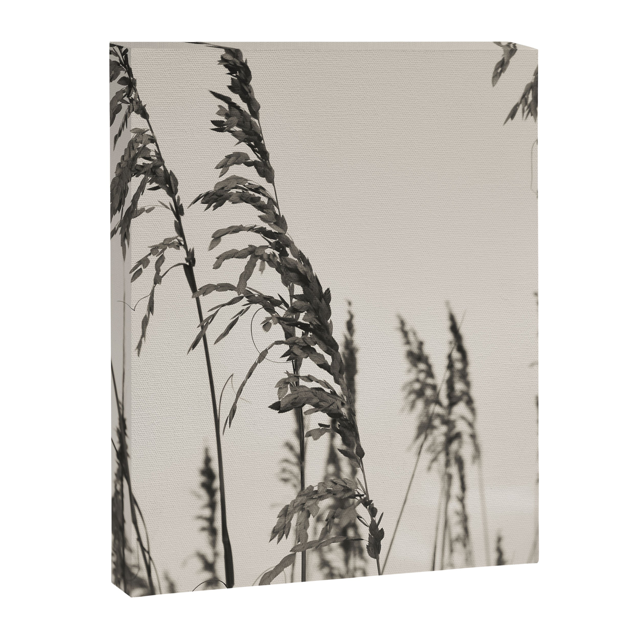 Casual Canvas Print Gallery Image 6
