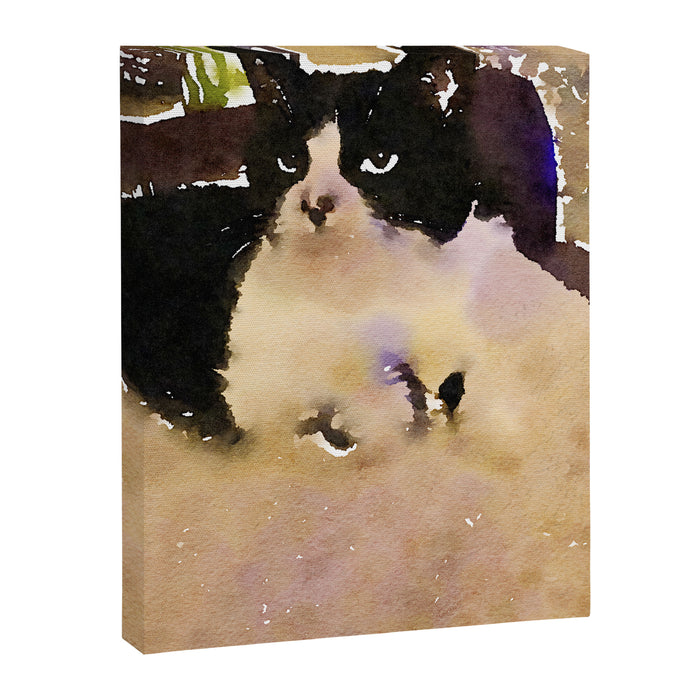 charlotte the cat Canvas Print Gallery Image 1